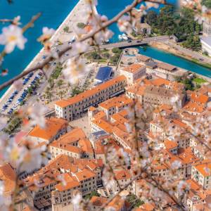 Postcard from Kotor Bay. Enjoy the first day of spring. 
.
.
.
Thank you!  @radza 

#montenegro #montenegrowildbeauty #gomontenegro #visitmontenegro  #beautifuldestinations #sharemontenegro #spring #springtime #springinmontenegro #beautifulplaces

•Like ▶️ Share ▶️ Comment ▶️ Save