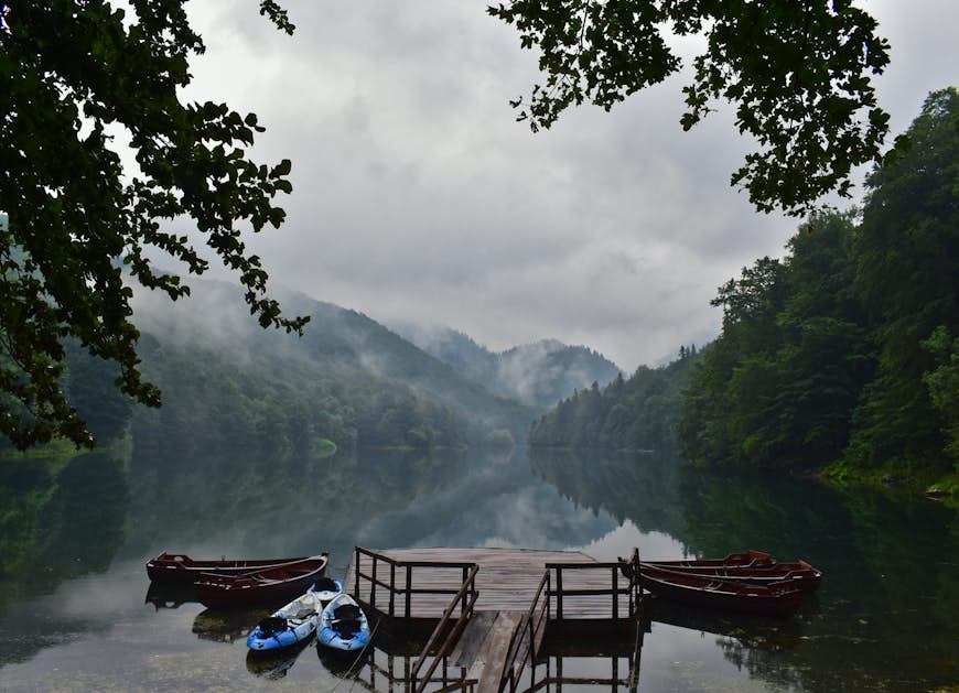 Montenegro_Biogradska_Gora.jpg