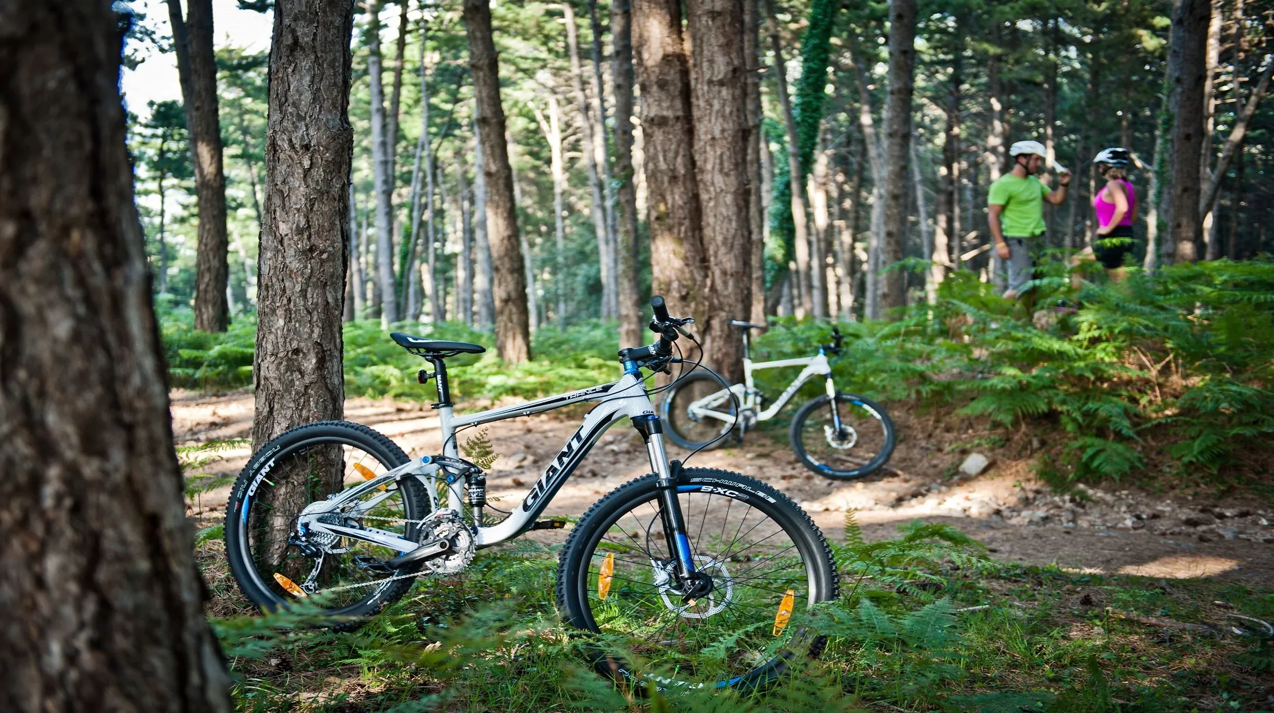 Biking