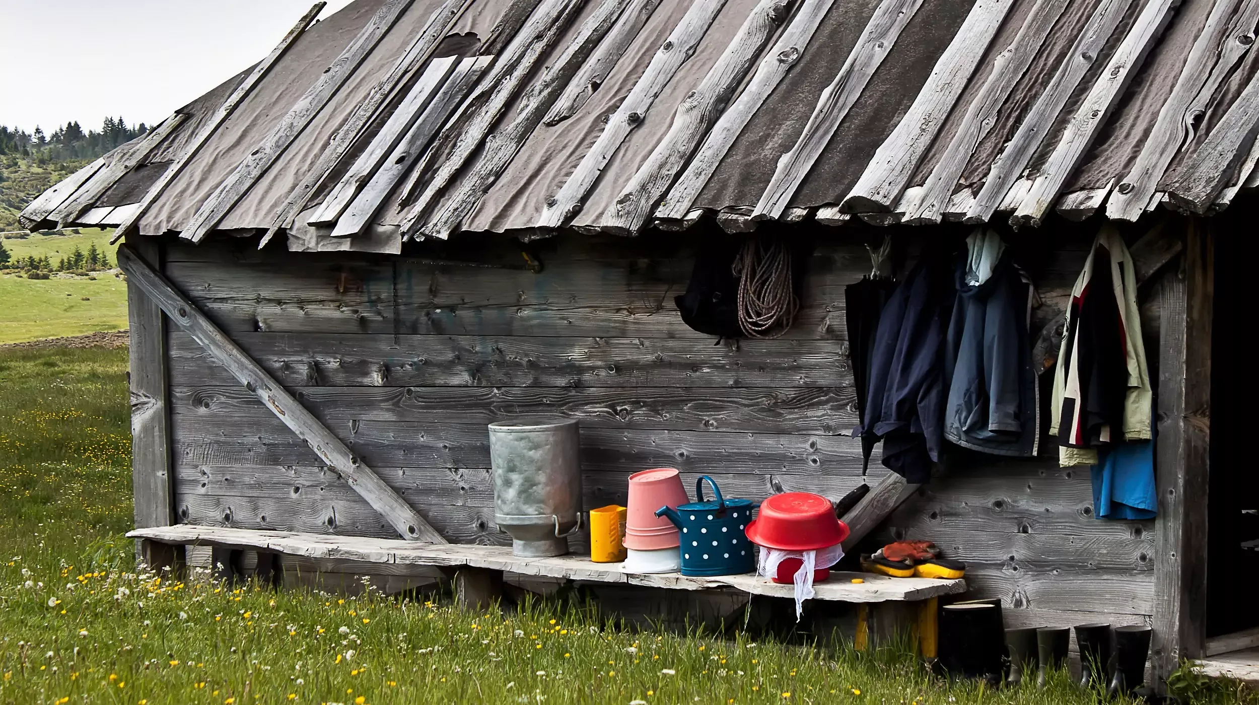 Countryside life
