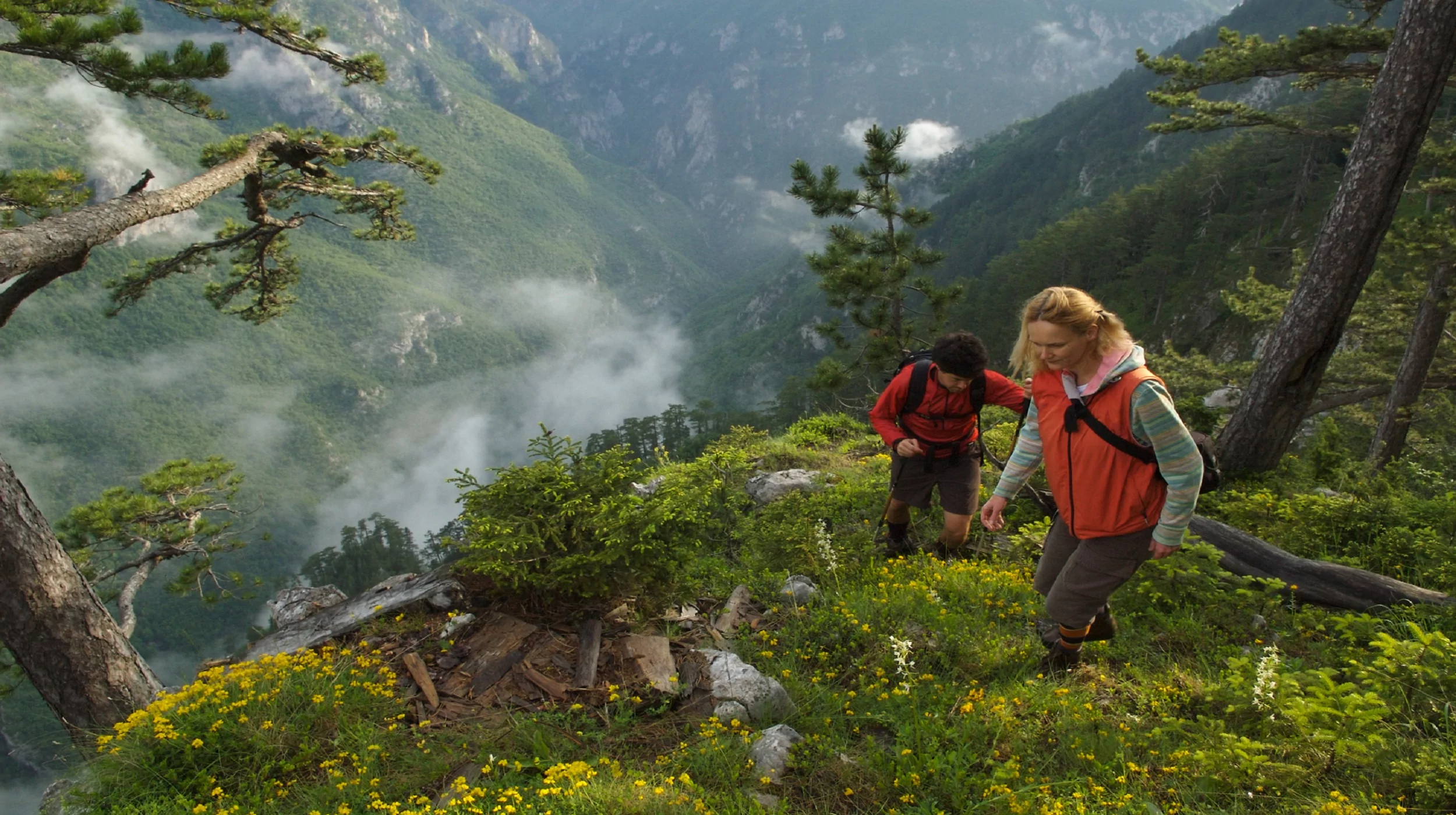 Crna poda Durmitor