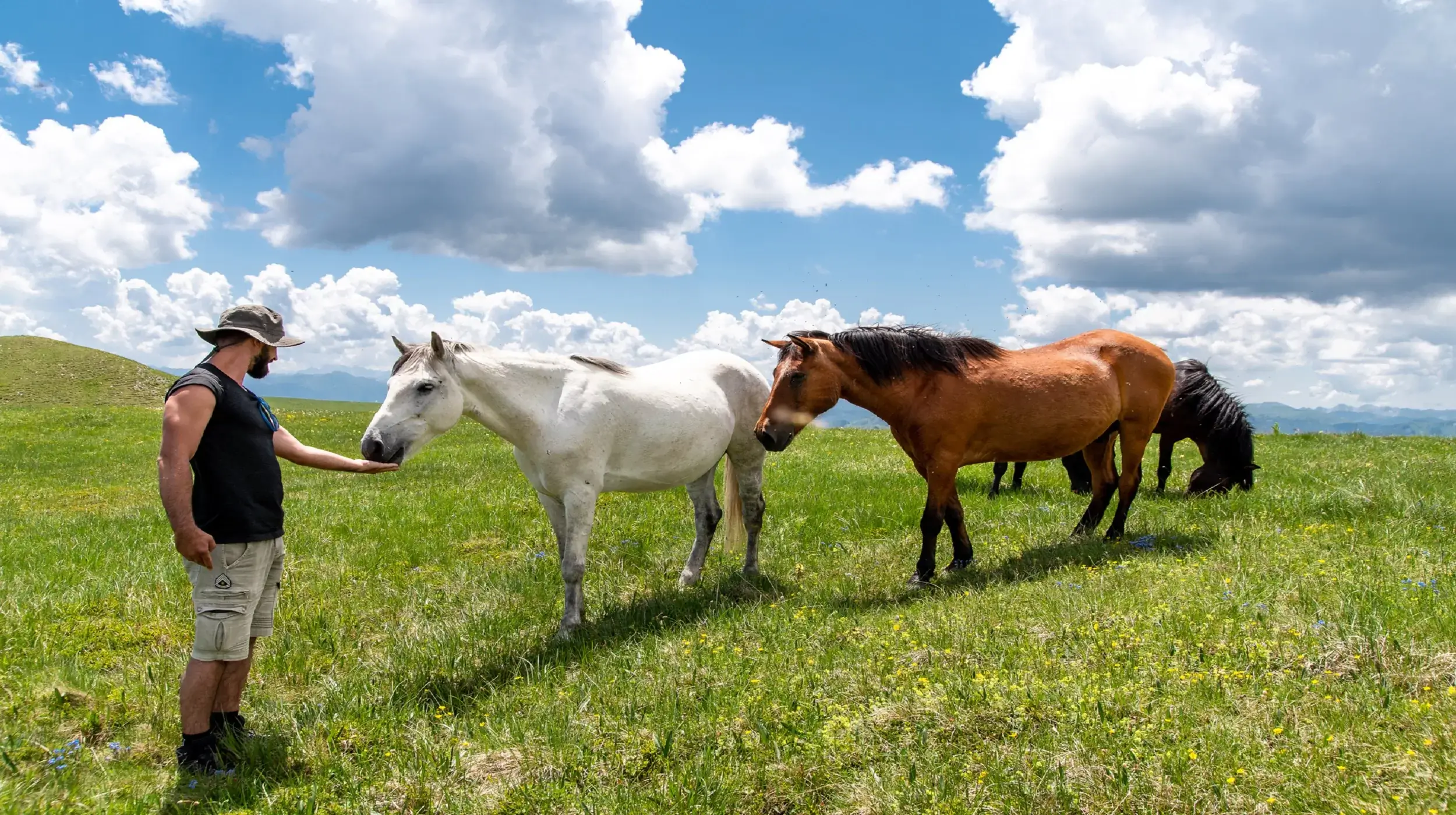 Horse riding Montenegro