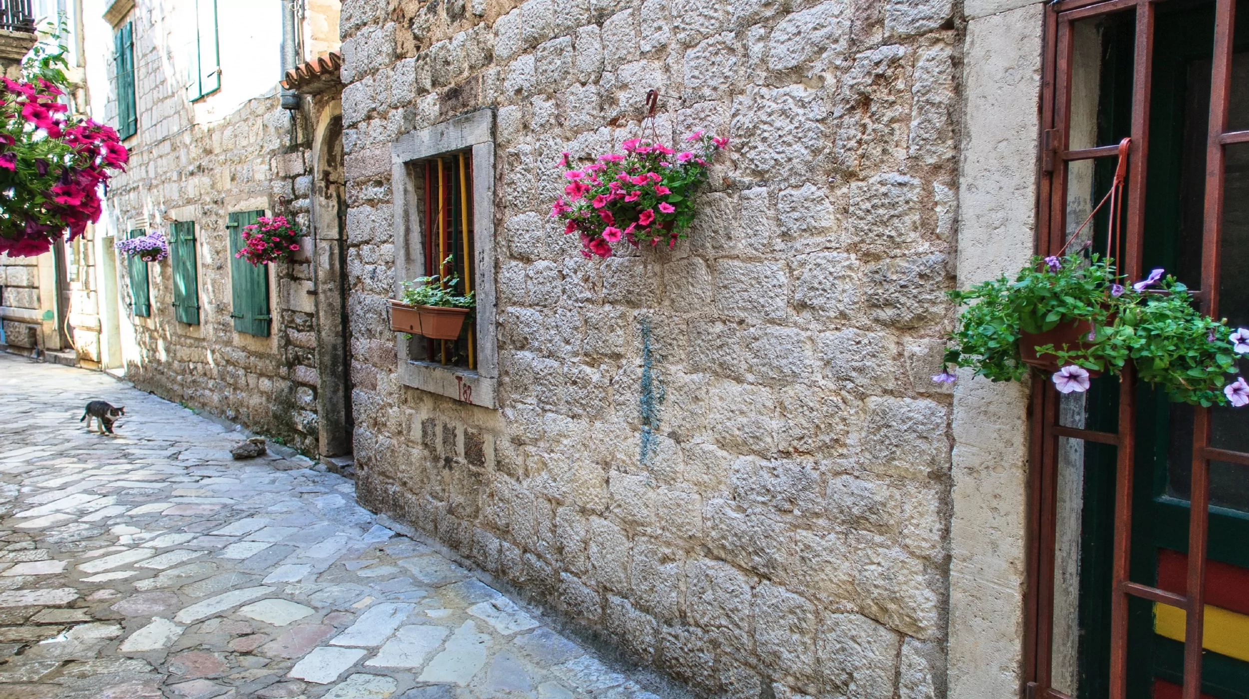 Kotor Old town