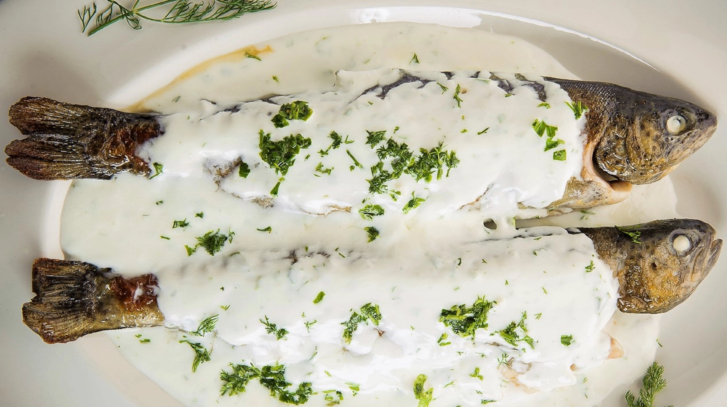 Trout with Yogurt