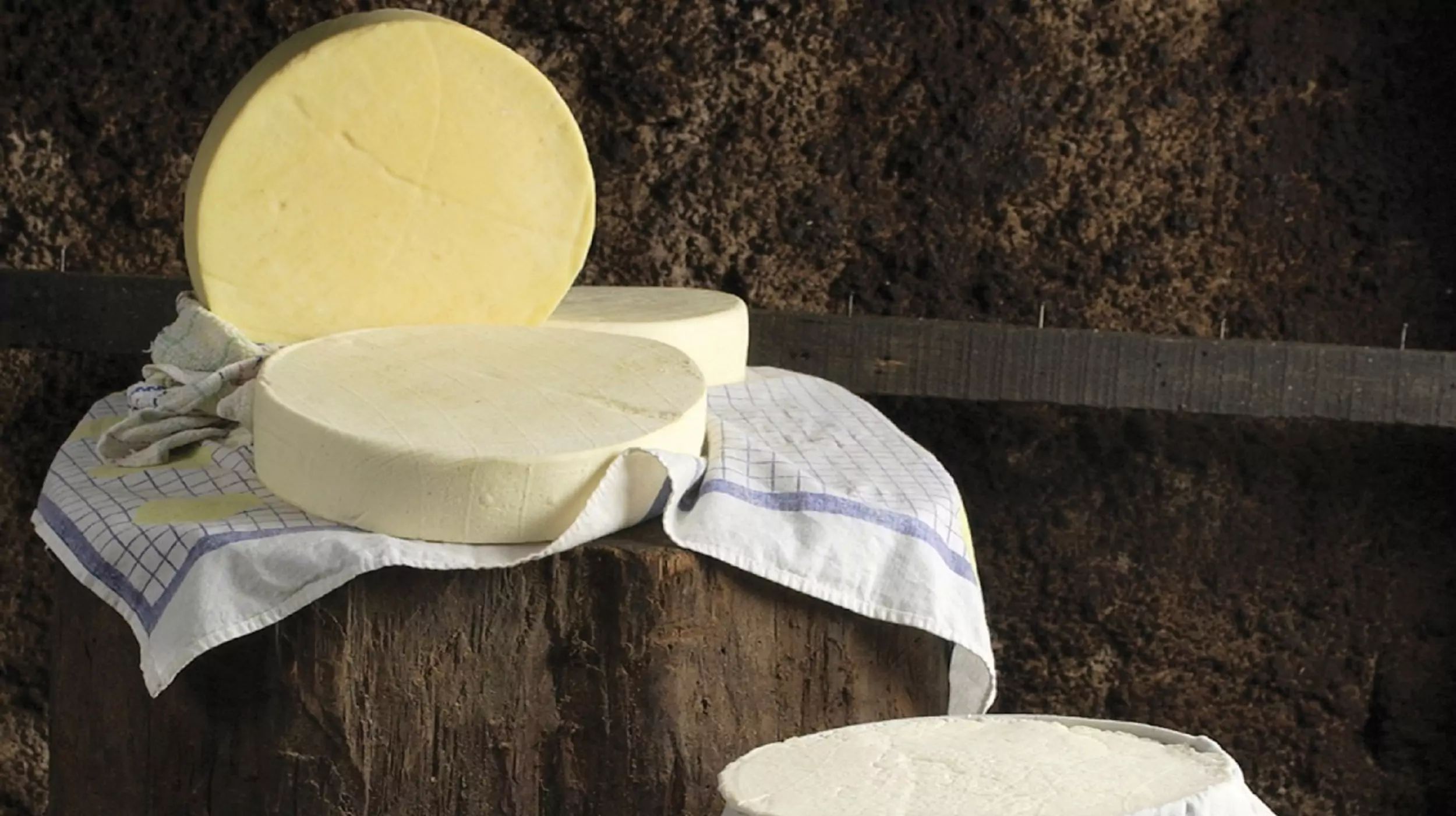 Montenegrin cheese