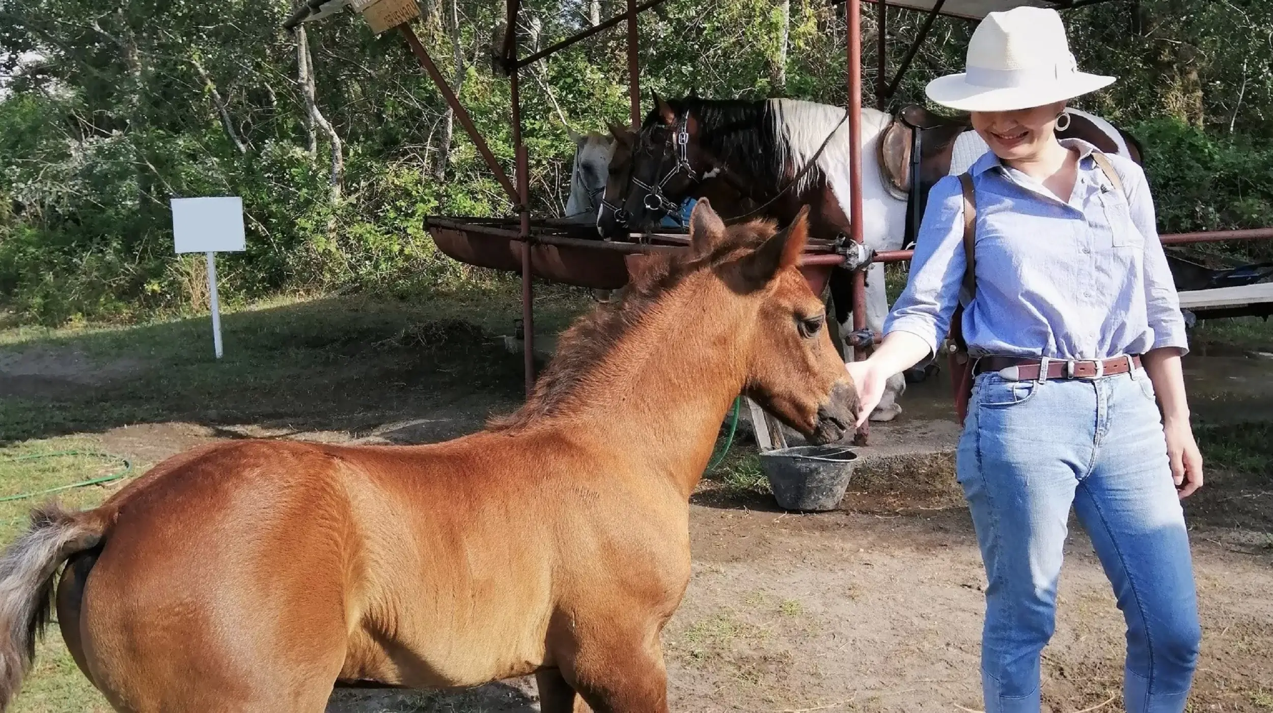Horse riding Montenegro
