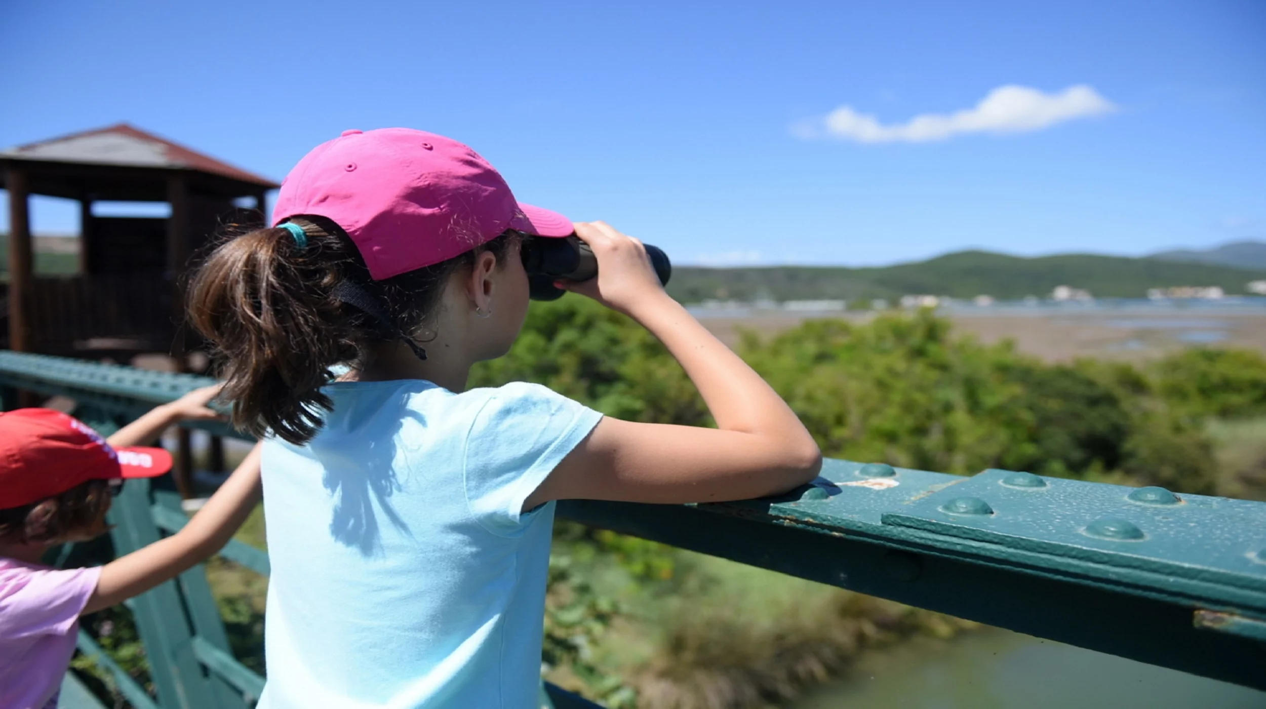 Tivat Solila birdwatching Montenegro