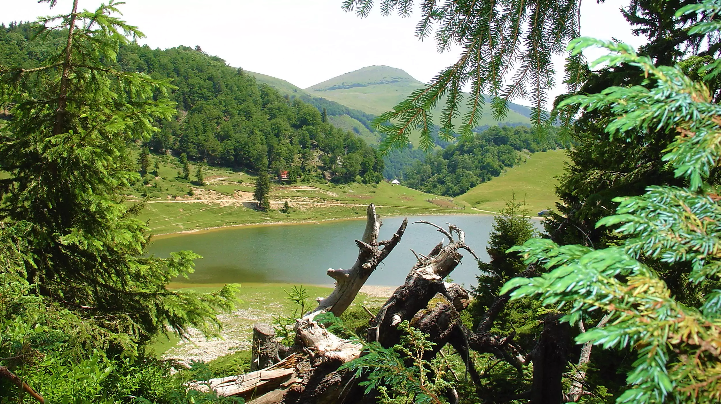 Mountain city Berane Montenegro